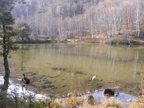 【長野】雄大な自然が満喫できる「乗鞍高原」に行ってみよう！