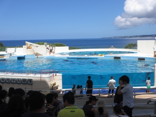 やはり日本一！？ 沖縄美ら海水族館の魅力に迫る