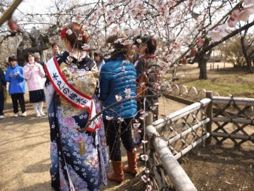 茨城・偕楽園の「水戸の梅まつり」で春の足音を先取りしよう！1.jpg