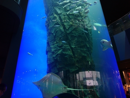 【北海道】釧路のニュースポット！水族館も備えた釧之助本店！1.jpg