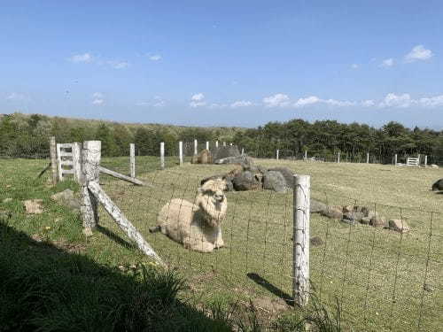 【2021年版】全国の人気動物園TOP19！みんなが行った動物園ランキング1.jpg