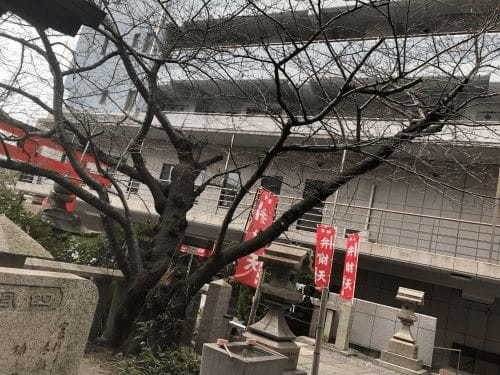 芸能人も参拝する？！芸能の神が祀られる【四宮神社】（神戸）1.jpg