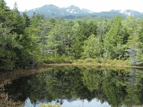 【長野】雄大な自然が満喫できる「乗鞍高原」に行ってみよう！