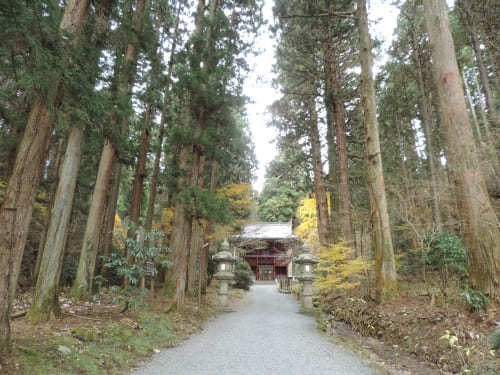 【茨城】一度は参拝に訪れたい由緒ある神社10社1.jpg