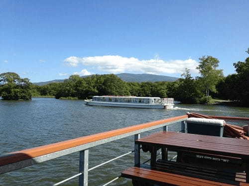 【北海道・七飯町】大沼国定公園の散策・湖上クルーズと仔牛の哺乳体験