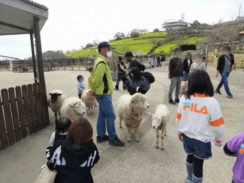 【千葉】都内から日帰りOK「マザー牧場」完全ガイド！遊園地やグランピングも◎1.jpg