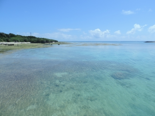 【沖縄】珊瑚礁の海に囲まれた緑豊かな島「多良間島」の魅力1.jpg