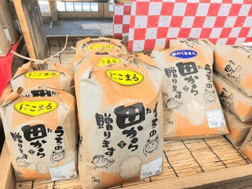 【熊本】道の駅阿蘇で買えるお勧めの熊本土産9選！新鮮なミルクやプリン・あか牛ハンバーグも！1.jpg