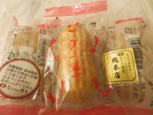 成田山のお楽しみ♪公園歩きに門前町の必食グルメとお土産探し1.jpg