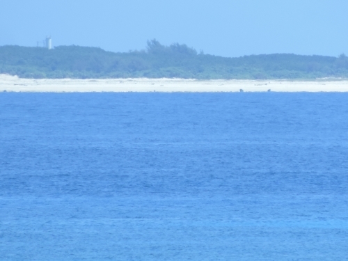 【沖縄】珊瑚礁の海に囲まれた緑豊かな島「多良間島」の魅力1.jpg