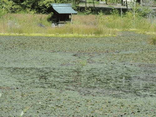 【長野】雄大な自然が満喫できる「乗鞍高原」に行ってみよう！