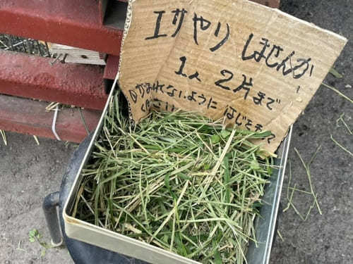 入場無料！埼玉県・上尾市にある【榎本牧場】で牛さん達に癒されよう♪