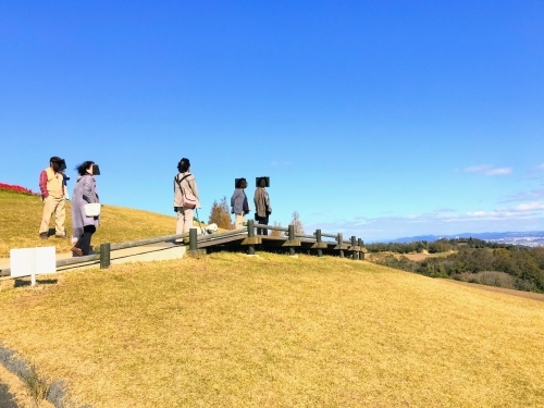 【入園無料】日本にもこんな美しいお花畑が！淡路島の「あわじ花さじき」で季節とりどりのお花畑を楽しもう！1.jpg