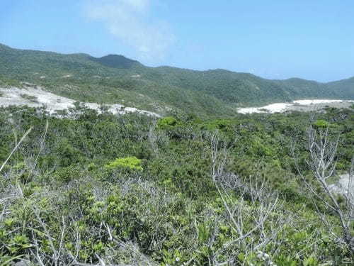 沖縄:慶良間諸島「渡嘉敷島」の見どころスポット！1.jpg