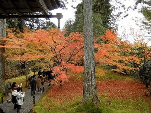 【京都】紅葉や苔の庭園が美しい大原三千院へ行こう1.jpg