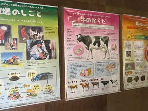 入場無料！埼玉県・上尾市にある【榎本牧場】で牛さん達に癒されよう♪