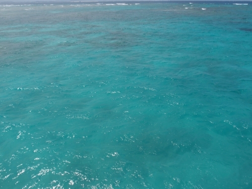 沖縄の離島でミクロの世界を垣間見る ～ナガンヌ島に泊まろう！～1.jpg