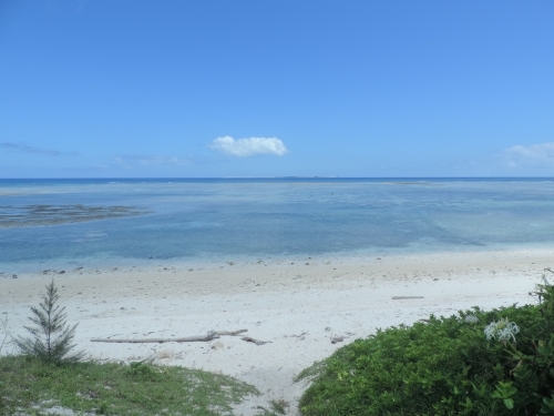 【沖縄】珊瑚礁の海に囲まれた緑豊かな島「多良間島」の魅力1.jpg