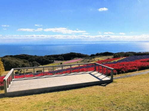 【入園無料】日本にもこんな美しいお花畑が！淡路島の「あわじ花さじき」で季節とりどりのお花畑を楽しもう！1.jpg