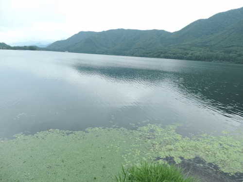 【長野】アルプスの麓の町「大町」の名所巡り旅！1.jpg