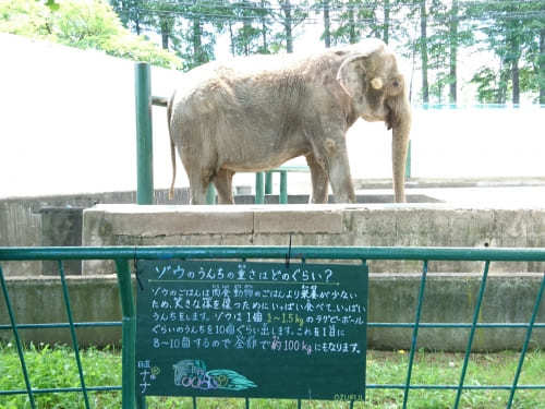 【北海道】おびひろ動物園の7つの見どころ！