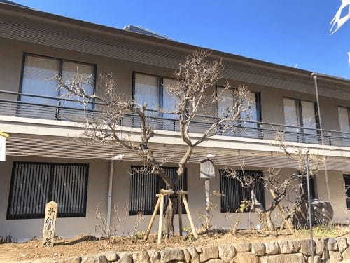 【生田神社】境内の見どころ・巡り方完全ガイド（神戸）6.jpg