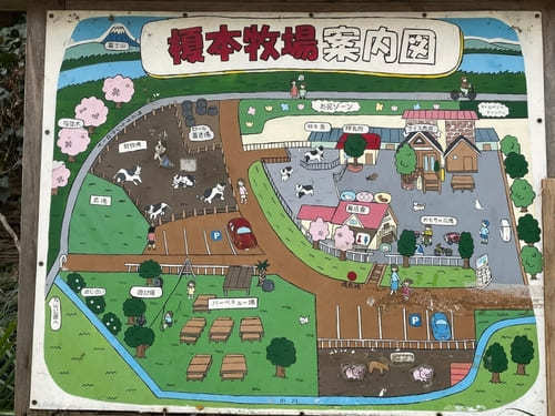 入場無料！埼玉県・上尾市にある【榎本牧場】で牛さん達に癒されよう♪