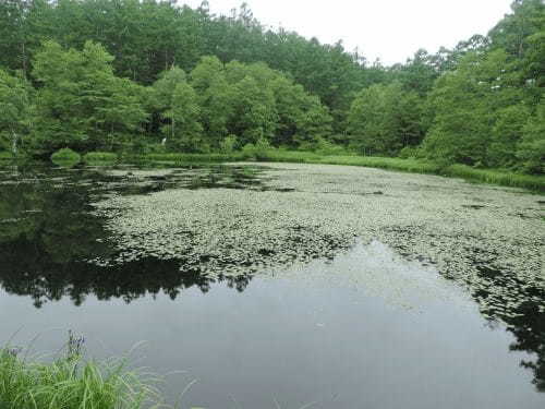 長野県の人気観光地【戸隠】の魅力！