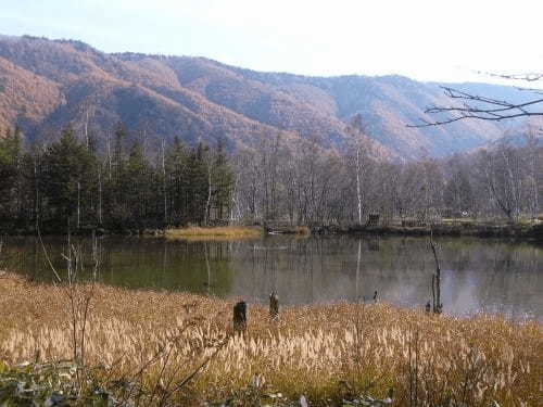 【長野】雄大な自然が満喫できる「乗鞍高原」に行ってみよう！