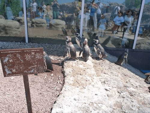 赤ちゃん連れでも楽しめる【新潟】上越市立水族博物館「うみがたり」1.jpg