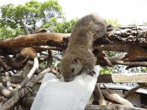 【岐阜】名物料理が味わえる長良川温泉ホテルパークに泊まろう1.jpg