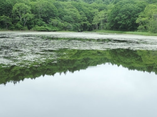 長野県の人気観光地【戸隠】の魅力！