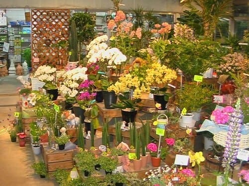 川西市のおしゃれな花屋11選！便利な駅前店やアレンジ花束が人気な店も！