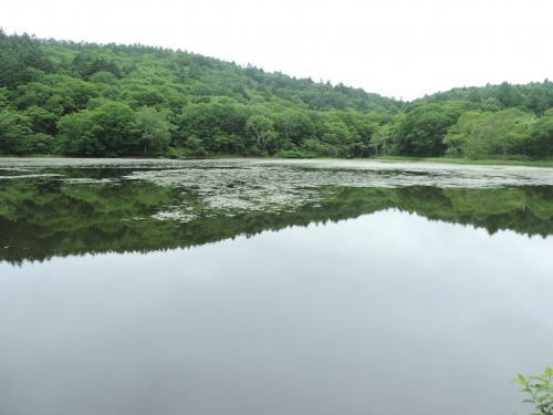 長野県の人気観光地【戸隠】の魅力！