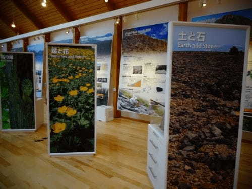 【北海道・上士幌】世界の昆虫標本が人気！ひがし大雪自然館の見どころ紹介