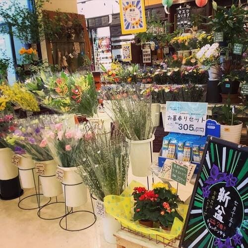 高岡市のおしゃれな花屋22選！便利な駅前店やアレンジ花束が人気な店も！