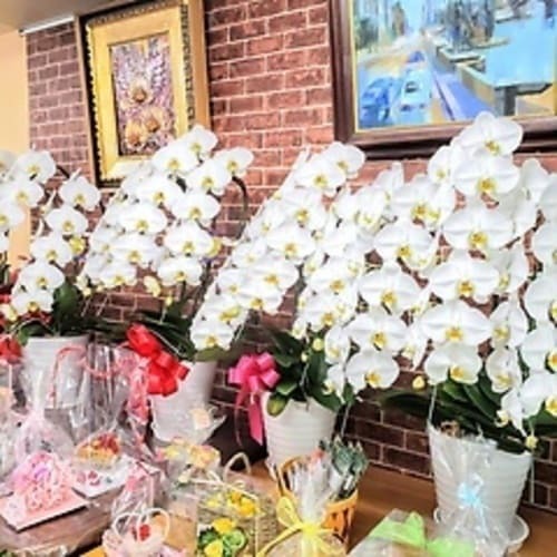 高岡市のおしゃれな花屋22選！便利な駅前店やアレンジ花束が人気な店も！