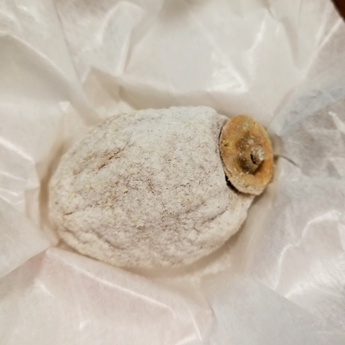 【岐阜・恵那】名前と実物にギャップのある和菓子3選!1.jpg