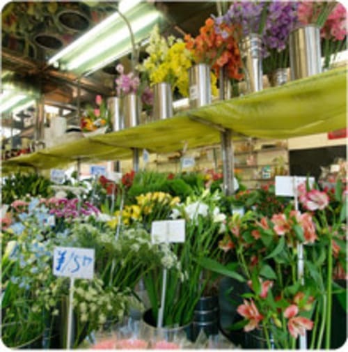 釧路市のおしゃれな花屋11選！便利な駅前店やアレンジ花束が人気な店も！