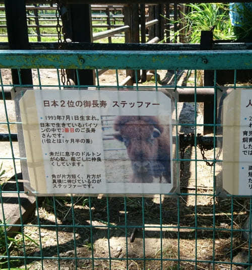 【北海道】おびひろ動物園の7つの見どころ！