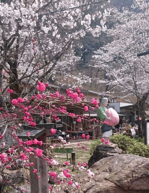 【愛知県】『鬼滅の刃』聖地巡礼におススメ！日本で唯一の神を祀る桃太郎神社1.jpg