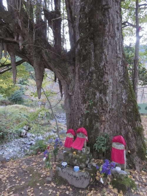 【兵庫県朝来市】今しか見られない「神子畑選鉱場跡」の特別な絶景と徒歩圏内の見どころ8選1.jpg