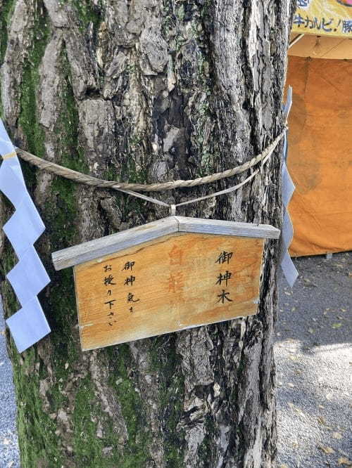 【東京】5つの龍に出会える田無神社！隠れ家的なパワースポットを120％楽しむ完全ガイド1.jpg