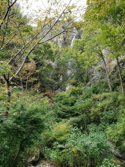 絶景！天空の鳥居【香川】高屋神社までハイキング！1.jpg