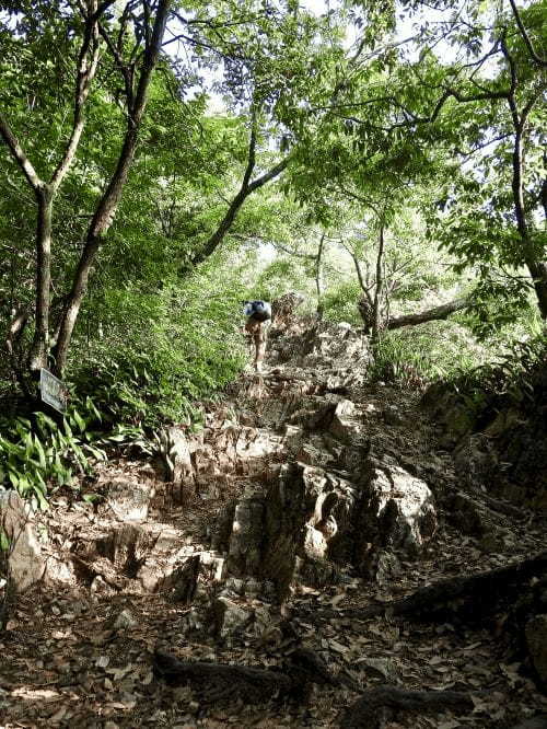 【岐阜】意外に絶景⁈ 金華山に登ってみよう1.jpg