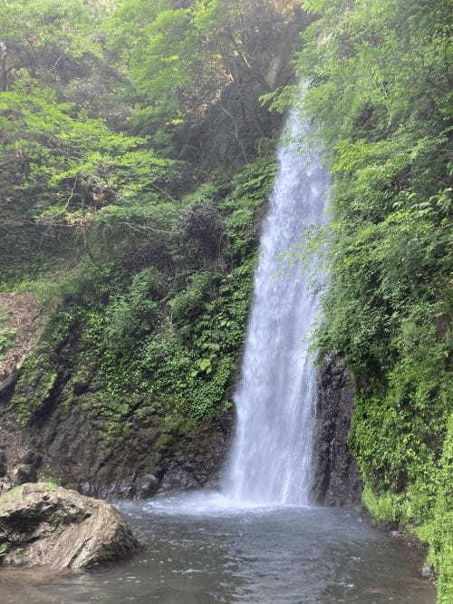 【岐阜】無料カートの利用もできる 子連れで「養老公園」周遊