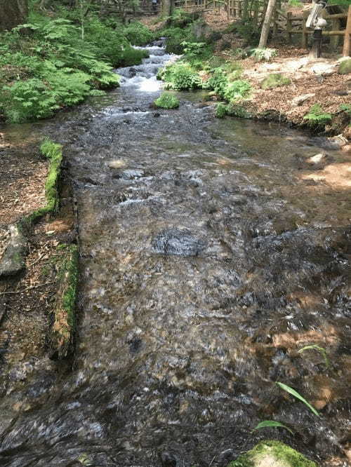 【栃木】自信を持ってオススメする名水百選！尚仁沢湧水とは1.jpg