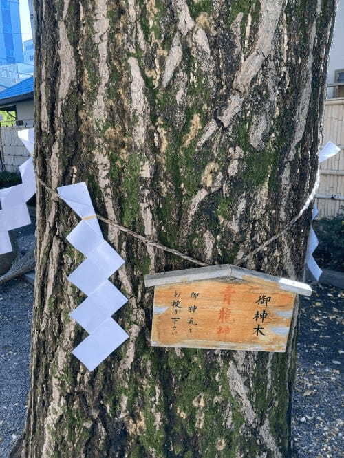 【東京】5つの龍に出会える田無神社！隠れ家的なパワースポットを120％楽しむ完全ガイド1.jpg