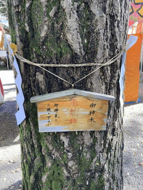 【東京】5つの龍に出会える田無神社！隠れ家的なパワースポットを120％楽しむ完全ガイド1.jpg