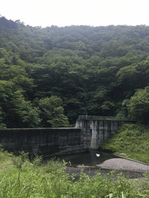 【栃木】自信を持ってオススメする名水百選！尚仁沢湧水とは1.jpg